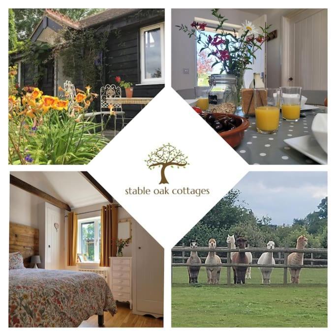 Willow Cottage In Idyllic Location Harrietsham Exteriör bild