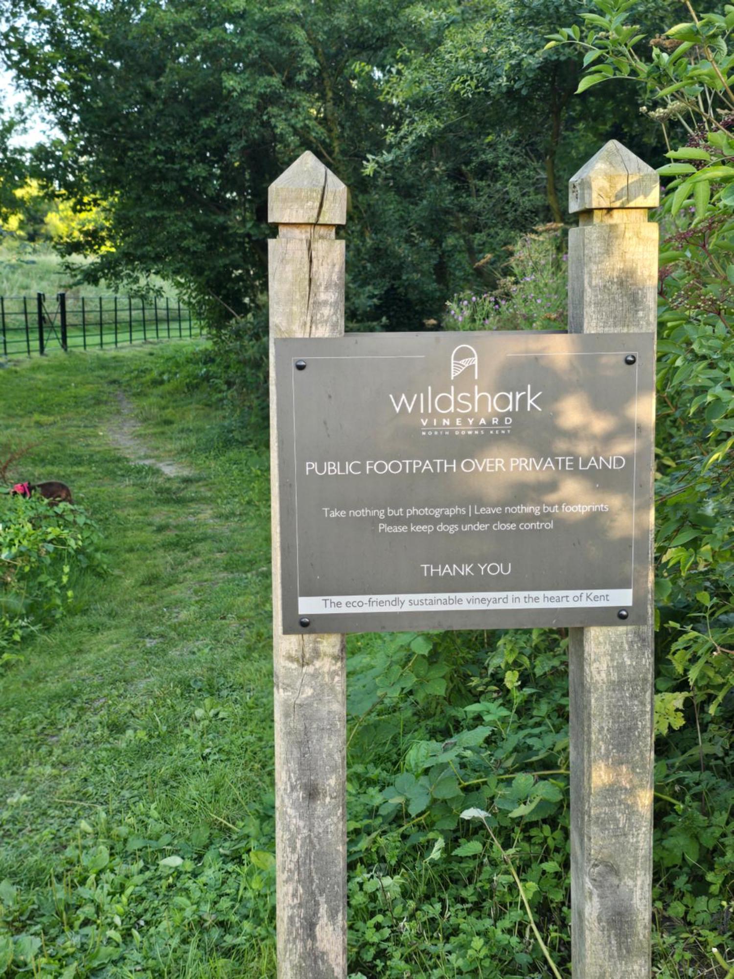 Willow Cottage In Idyllic Location Harrietsham Exteriör bild